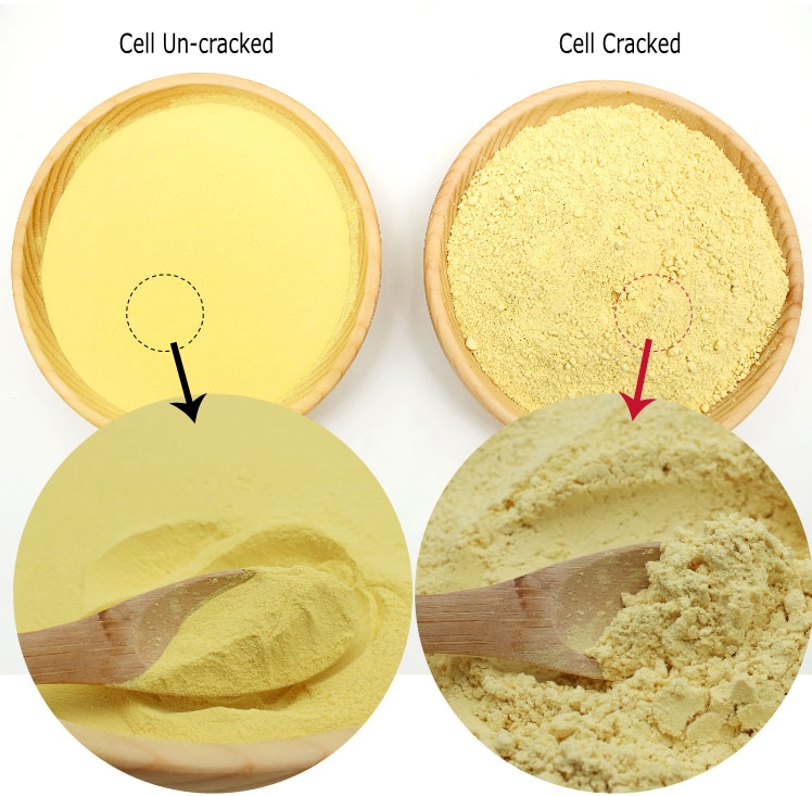 Cell cracked and un-cracked pine pollen powder