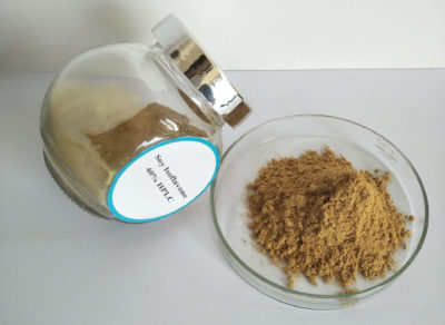 Soybean Extract Isoflavone