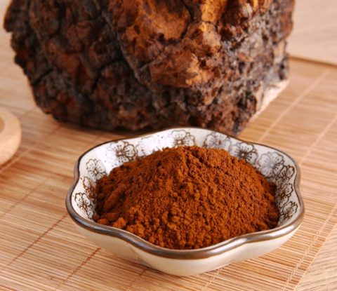 Chaga Beta Glucan