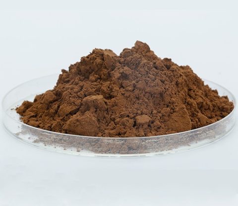 reishi beta glucan