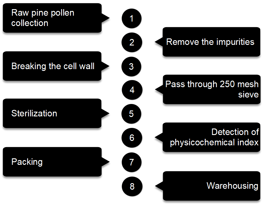 Flow chart of pine pollen production-TCM Adaptogen Warehouse