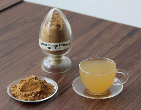 pine pollen extract