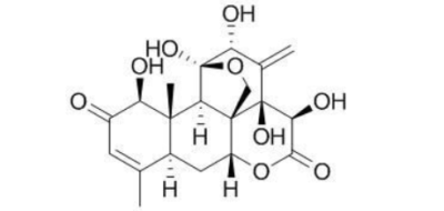 eurycomanone