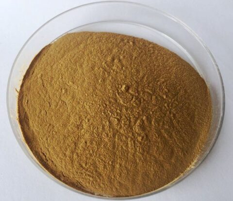 Cornus Officinalis Extract