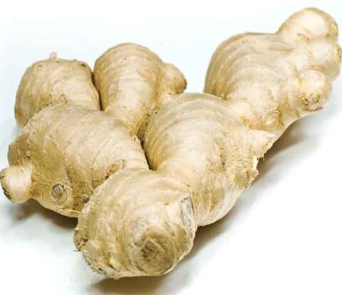 Ginger extract