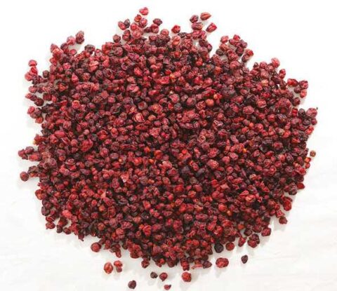 Schisandra chinensis extract1