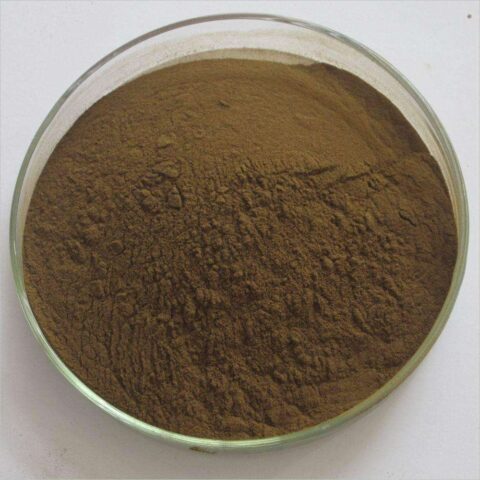 Taxillus Chinensis Extract