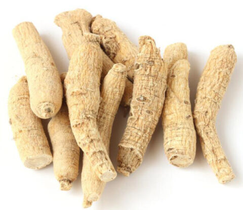 American Ginseng Extract