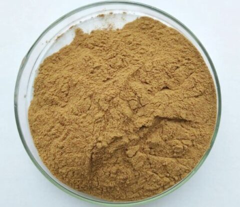 Chuan Xiong Extract