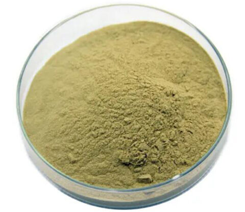 Lophatherum Gracile Extract