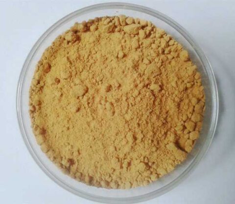 Cimicifugae Extract