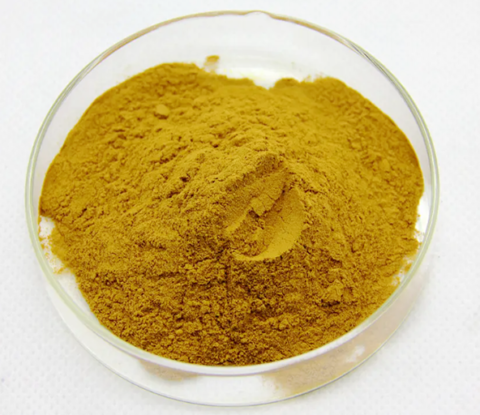 Adenophora extract