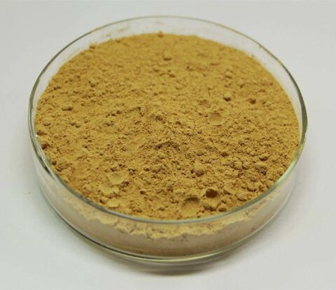 Akebia Extract