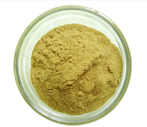 Anemarrhena extract