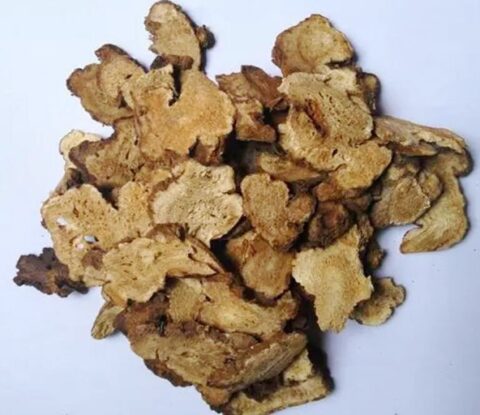 Atractylodes macrocephala extract