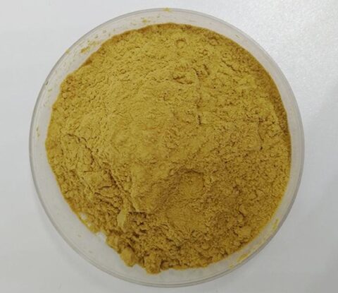 Atractylodes macrocephala extract