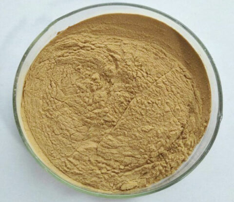 Bitter Apricot Seed extract2