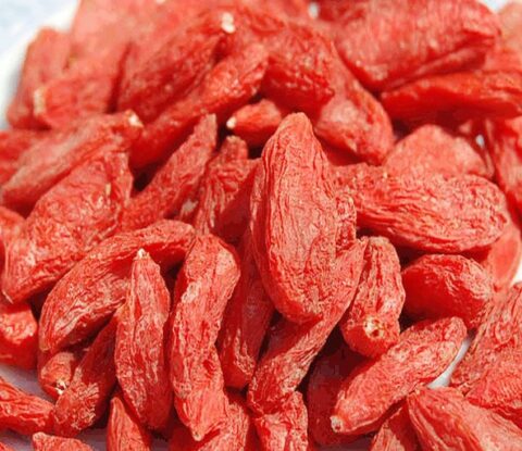 Goji berry extract