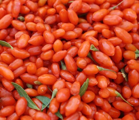 Goji berry extract