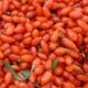 Goji berry extract