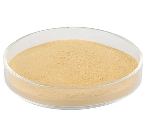 Goji berry extract