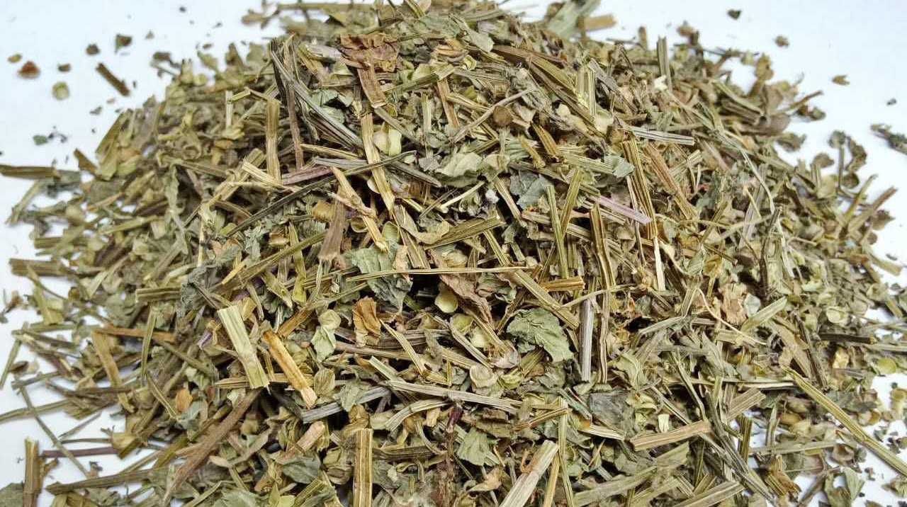 Sculellaria barbata extract