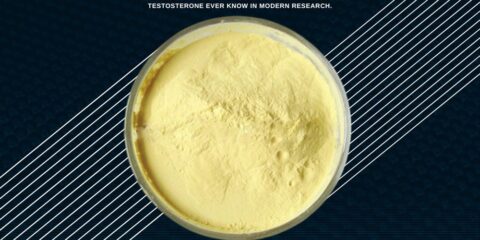 pine pollen in history record