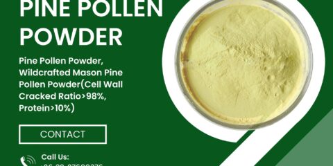 how pine pollen is collected