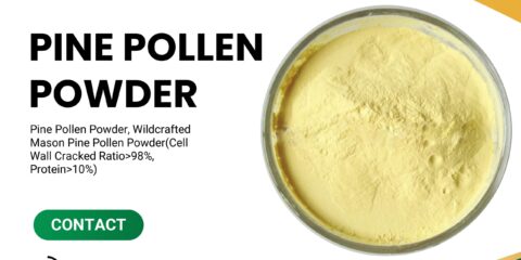 Pine pollen in Yunnan Province China