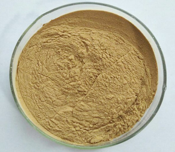 Bitter Apricot Seed extract Powder, Bitter Almond Extract(Ku Xing Ren